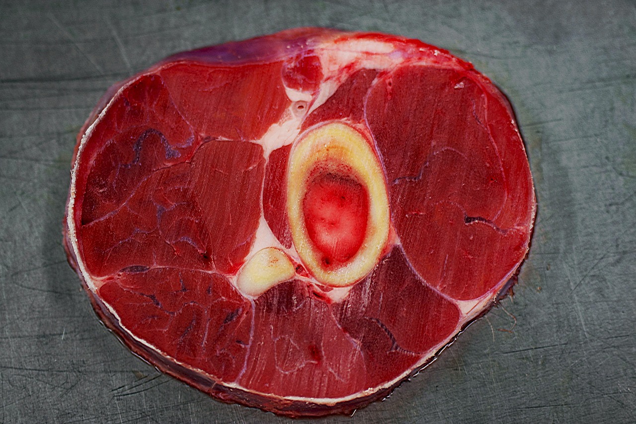 Pata de terna