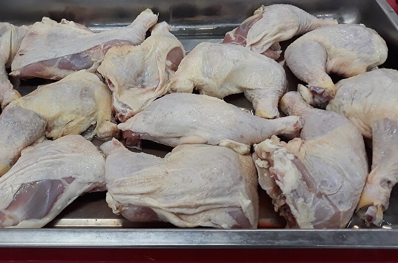 Traseros de campero